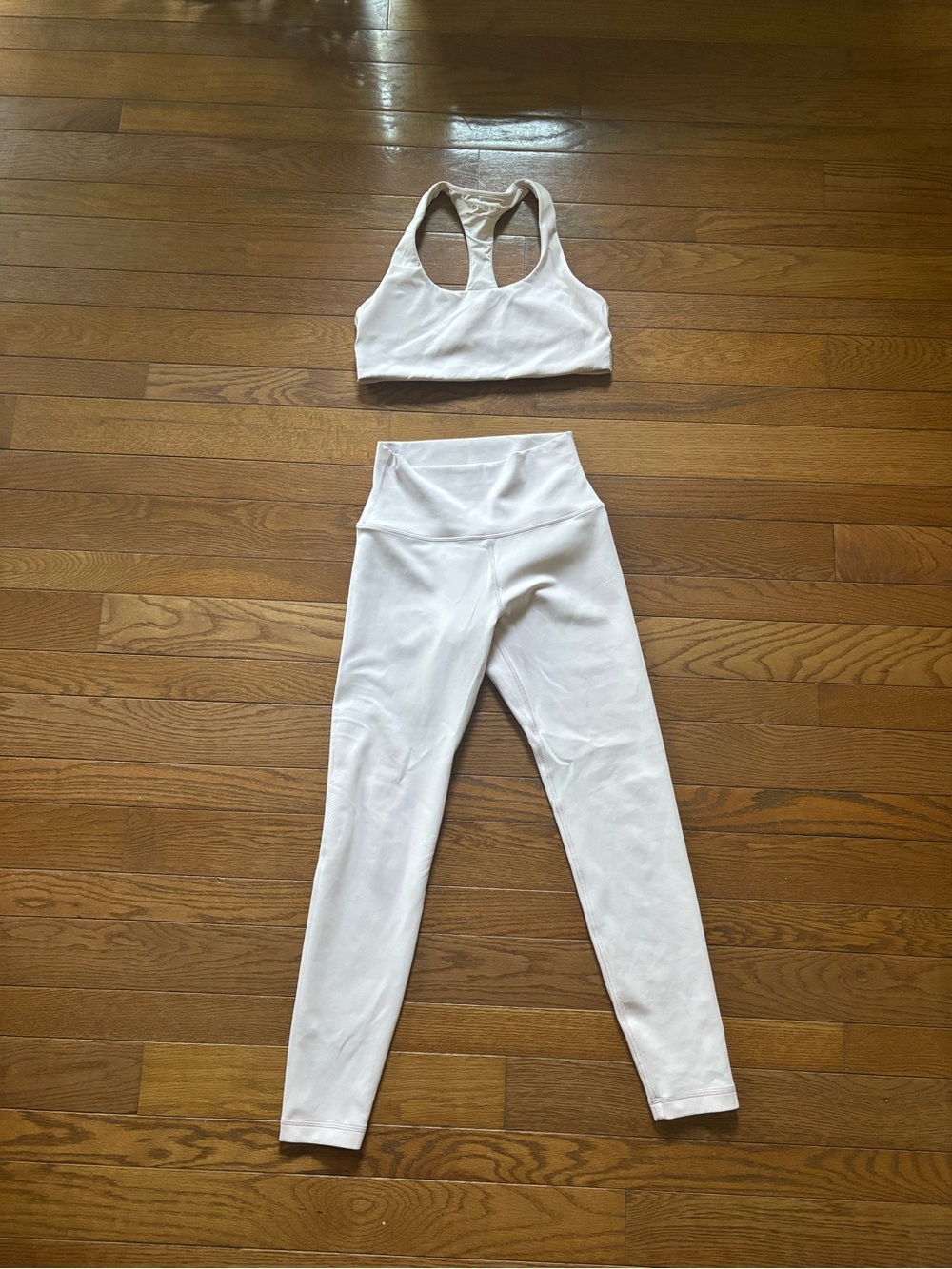 Aritzia Golden Light Pink Glossform Active Set with Gold Logo
